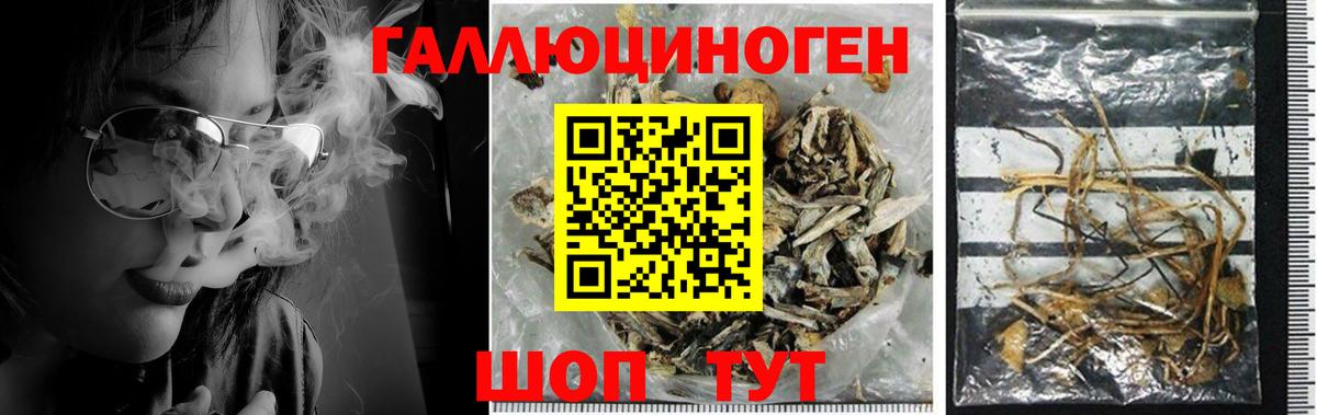 Избербаш  Галлюциногенные грибы ЛСД  Галлюциногенные грибы GOLDEN TEACHER  Вход с VPN 